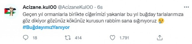 Foto - Şeytani odaklar gıda krizi için devrede: Buğday tarlaları bir bir yanıyor!