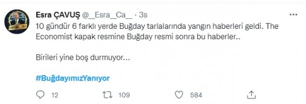 Foto - Şeytani odaklar gıda krizi için devrede: Buğday tarlaları bir bir yanıyor!