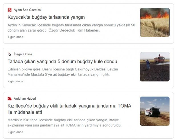 Foto - Şeytani odaklar gıda krizi için devrede: Buğday tarlaları bir bir yanıyor!