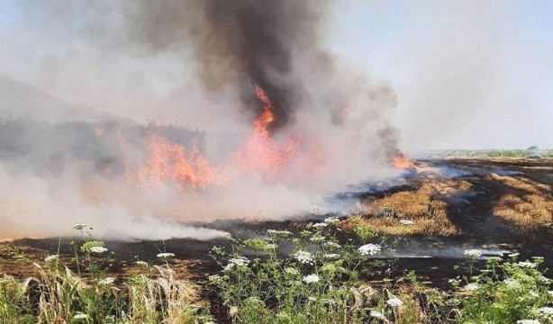 Şeytani odaklar gıda krizi için devrede: Buğday tarlaları bir bir yanıyor!