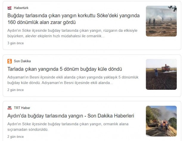 Foto - Şeytani odaklar gıda krizi için devrede: Buğday tarlaları bir bir yanıyor!