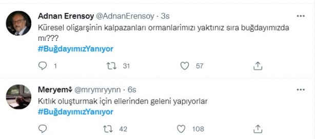 Foto - Şeytani odaklar gıda krizi için devrede: Buğday tarlaları bir bir yanıyor!