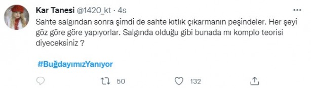 Foto - Şeytani odaklar gıda krizi için devrede: Buğday tarlaları bir bir yanıyor!