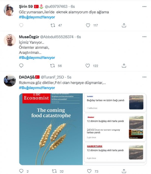Foto - Şeytani odaklar gıda krizi için devrede: Buğday tarlaları bir bir yanıyor!