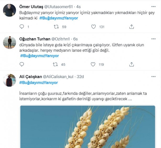 Foto - Şeytani odaklar gıda krizi için devrede: Buğday tarlaları bir bir yanıyor!