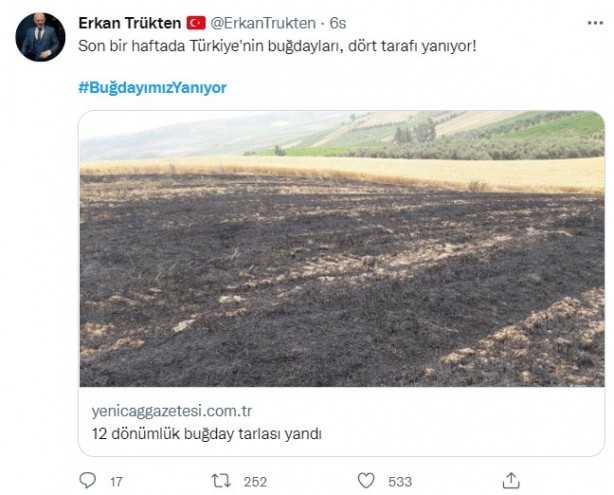 Foto - Şeytani odaklar gıda krizi için devrede: Buğday tarlaları bir bir yanıyor!