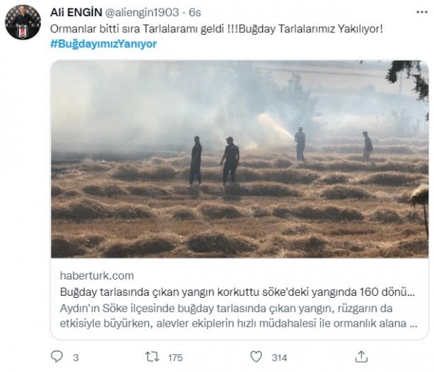 Foto - Şeytani odaklar gıda krizi için devrede: Buğday tarlaları bir bir yanıyor!