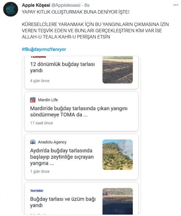 Foto - Şeytani odaklar gıda krizi için devrede: Buğday tarlaları bir bir yanıyor!