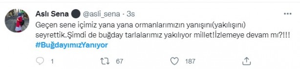 Foto - Şeytani odaklar gıda krizi için devrede: Buğday tarlaları bir bir yanıyor!