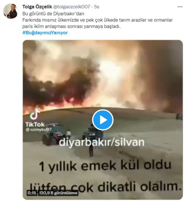 Foto - Şeytani odaklar gıda krizi için devrede: Buğday tarlaları bir bir yanıyor!
