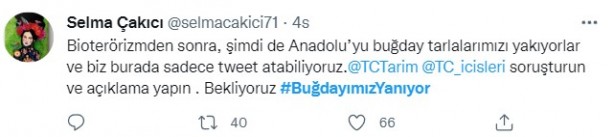 Foto - Şeytani odaklar gıda krizi için devrede: Buğday tarlaları bir bir yanıyor!