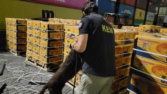 Şeytanın bile aklına gelmez! Mersin’deki muz kolilerinde bakın ne çıktı