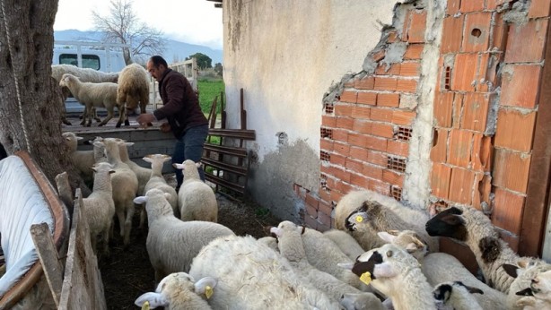 Foto - Şeytanın talebeleri yakayı ele verdi! Bu da 'ileri tarihli' dolandırıcılık