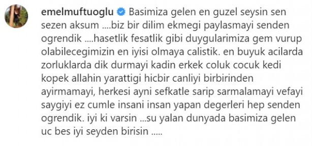Foto - Sezen Aksu sustu, militanları harekete geçti! İşte İslam'a savaş açan sözde ünlüler 