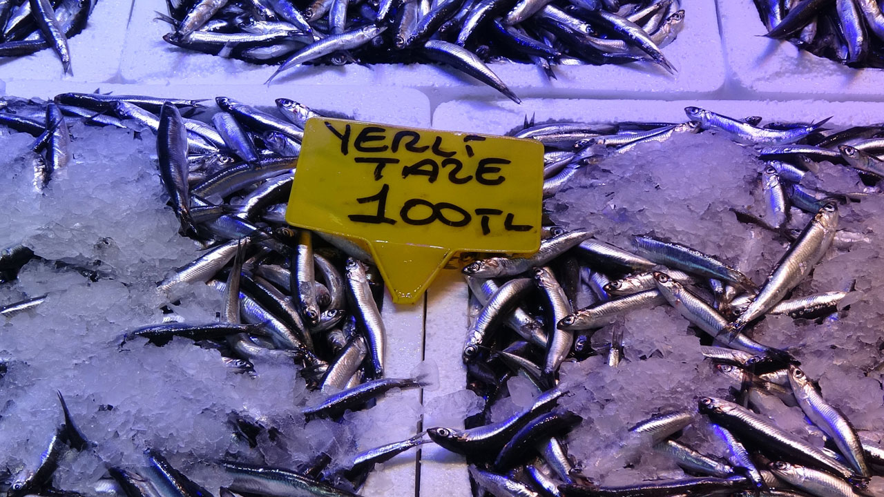 Foto - Sezon erken bitebilir! Denizde palamut yok, hamsi de uzun kalmayacak