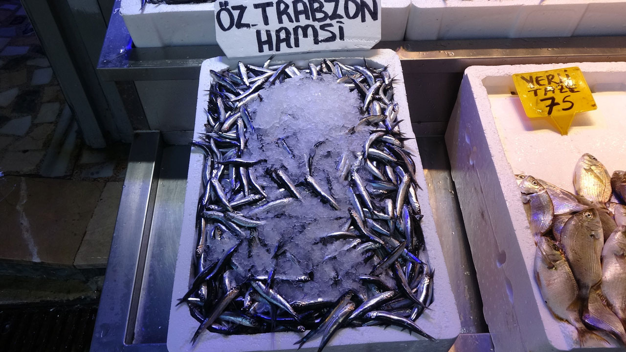 Sezon erken bitebilir! Denizde palamut yok, hamsi de uzun kalmayacak