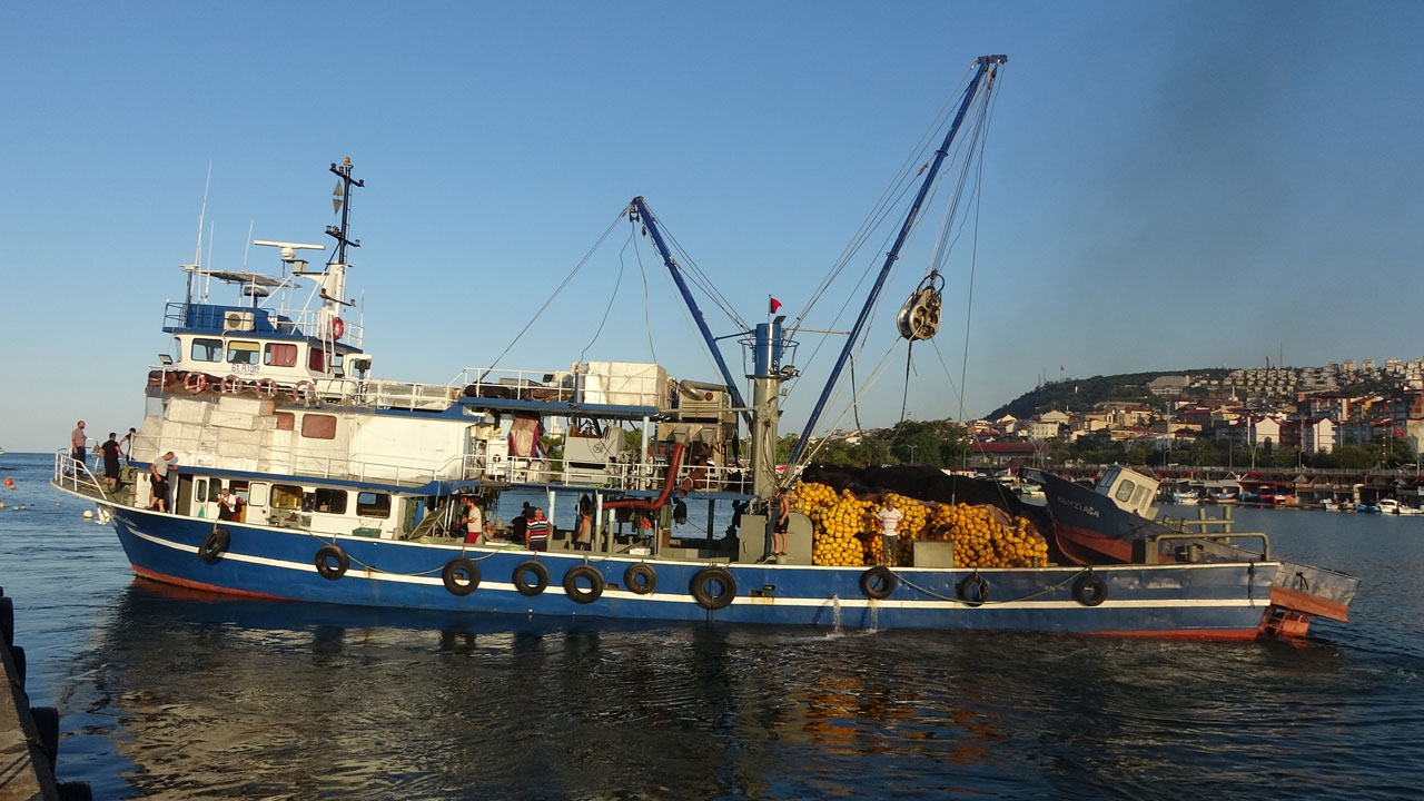 Foto - Sezon erken bitebilir! Denizde palamut yok, hamsi de uzun kalmayacak