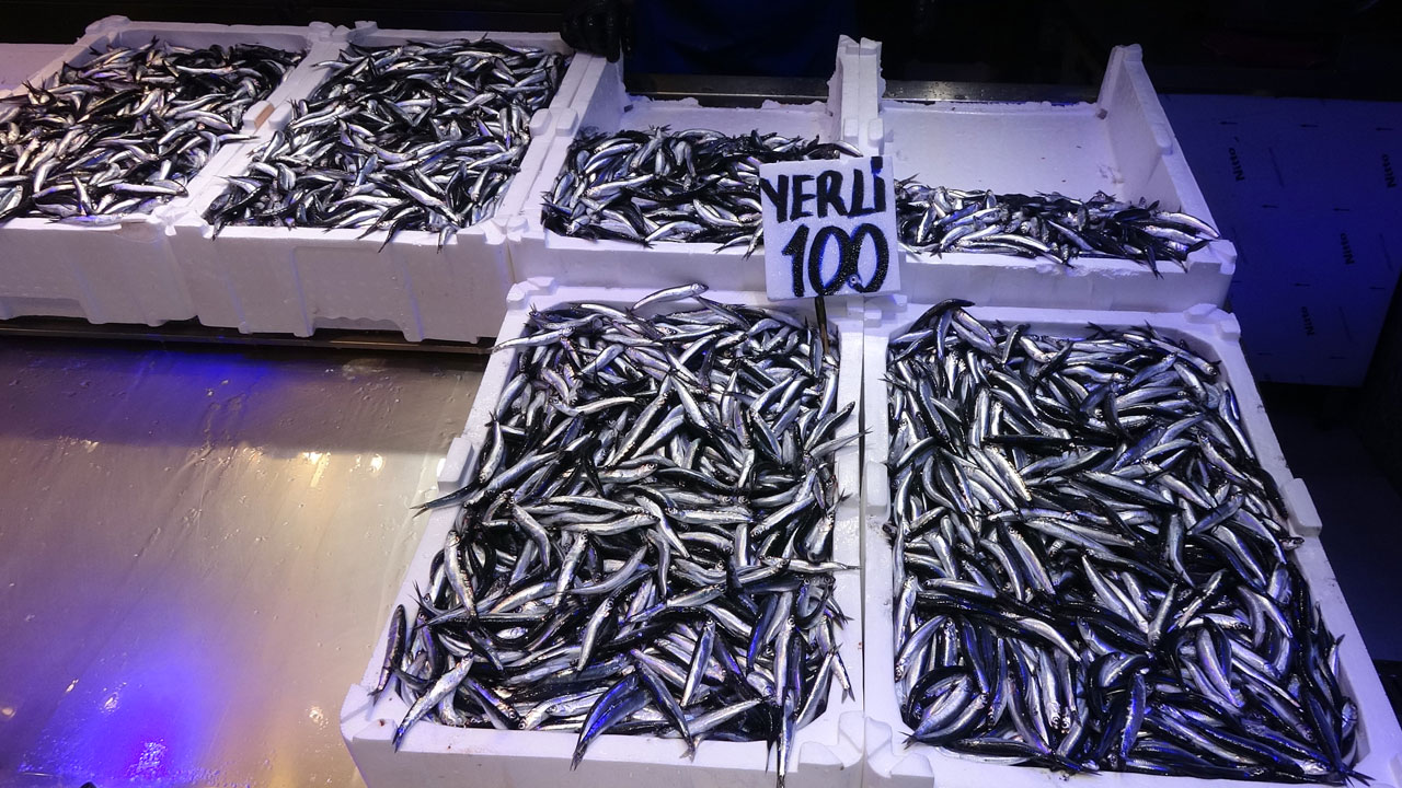 Foto - Sezon erken bitebilir! Denizde palamut yok, hamsi de uzun kalmayacak