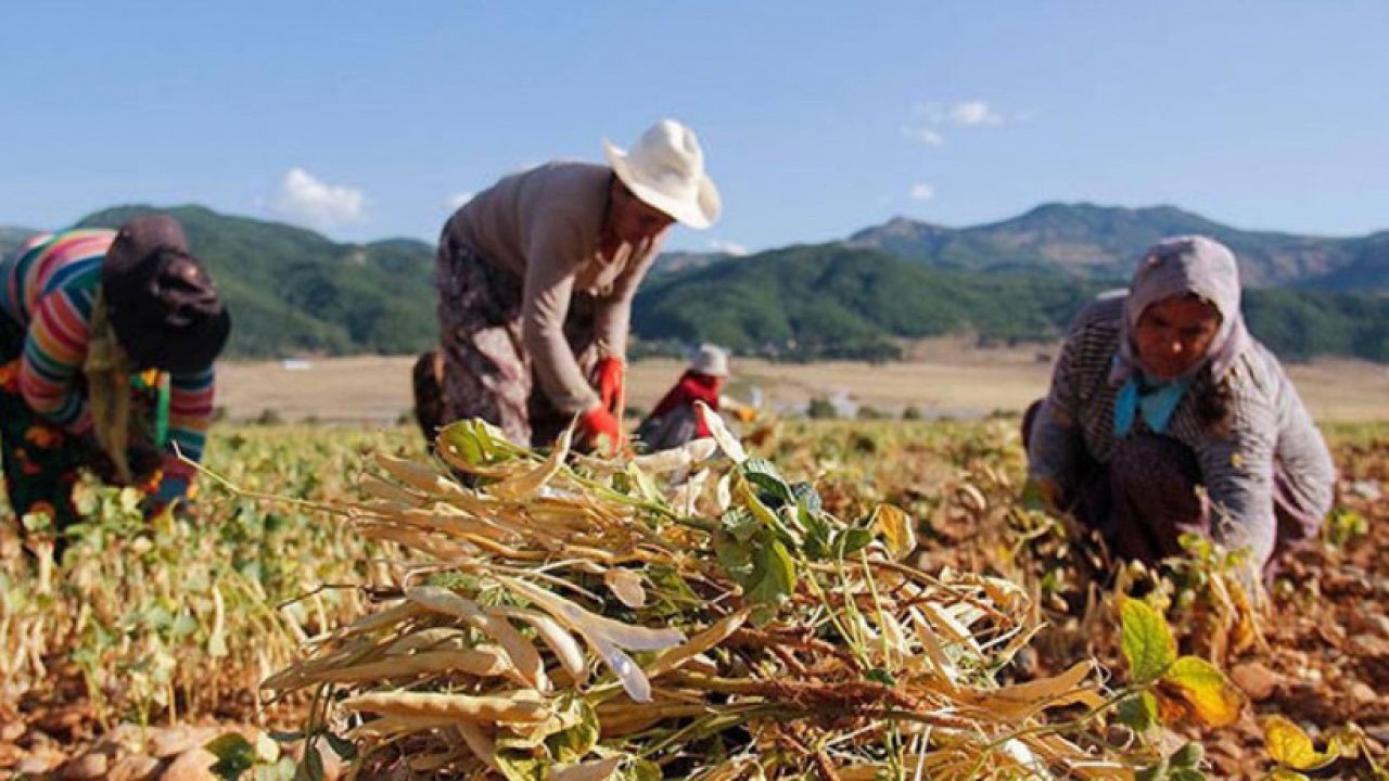 Foto - SGK’dan sessizce BAĞ-KUR borcu! Her ay 9 bin TL yazılıyor, binlerce kişi farkında değil!