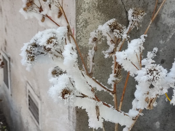 Foto - Sibirya değil Ardahan: -34