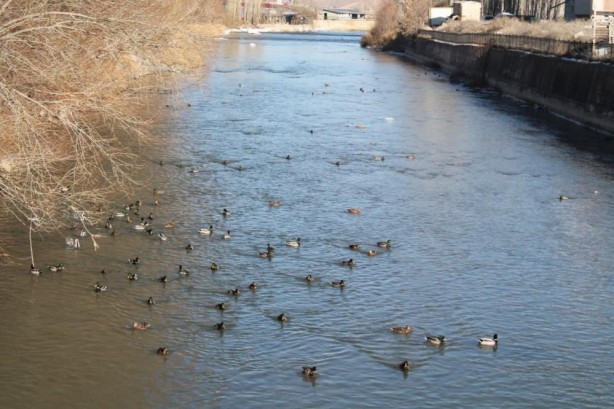 Sibirya’dan göç ettiler Bayburt’u çok sevdiler