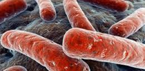 Foto - Sıcak hava değil klima hasta ediyor!