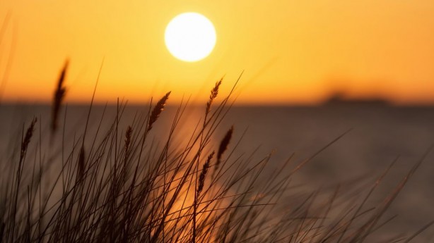 Foto - Sıcak hava koronavirüsü bitirecek mi? Afrika sıcakları geliyor