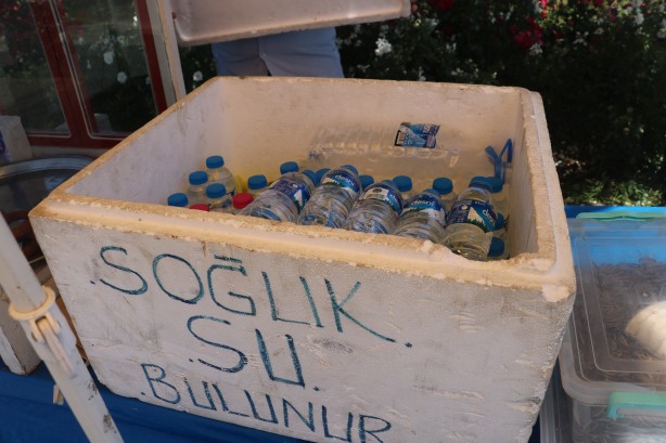 Foto - Sıcak havalar en çok onların yüzünü güldürüyor