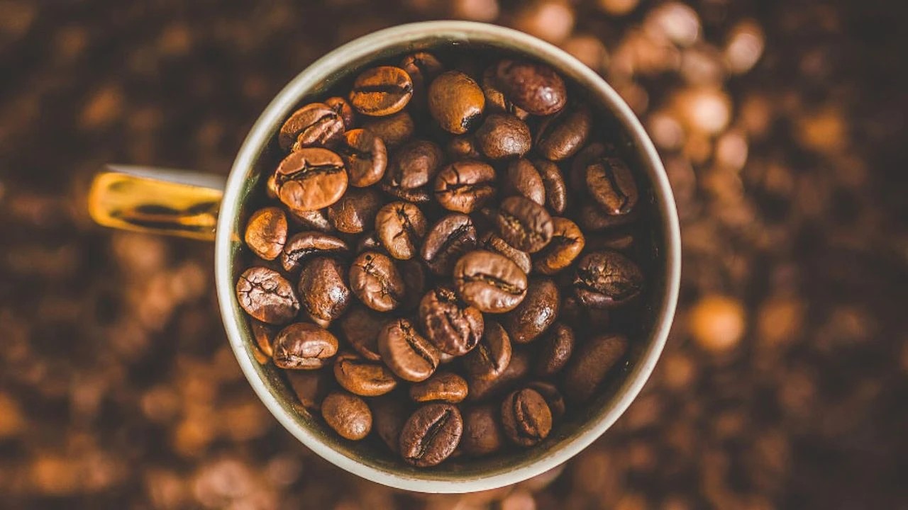 Foto - Sıcak havalarda ''kahve içmeyin'' uyarısı!