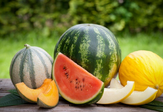 Foto - Sıcak havalarda yemeden önce 2 kez düşünün! Canan Karatay uyardı! Meğer yazın tükettiğimiz...