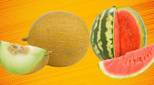 Foto - Sıcak havalarda yemeden önce 2 kez düşünün! Canan Karatay uyardı! Meğer yazın tükettiğimiz...