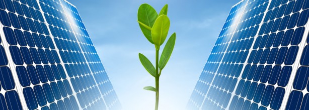 Foto - Önemli tavsiyeler! Sıcak havaların cep yakmaması için 8 öneri!