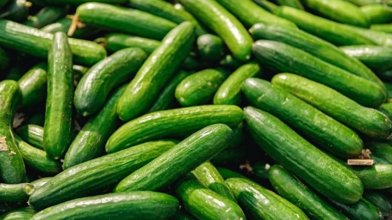 Foto - Sıcak havaların korkulu rüyası! Güneş yanığından kurtulmanın doğal yolu açıklandı