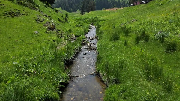 Foto - Sıcaklardan bunalanlar bu yaylara koşuyor