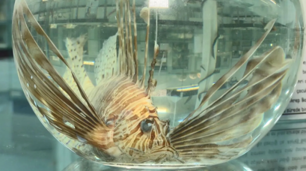 Foto - Sıcaklık artmaya devam ederse durum kötü! Marmara'yı bekleyen büyük tehlike