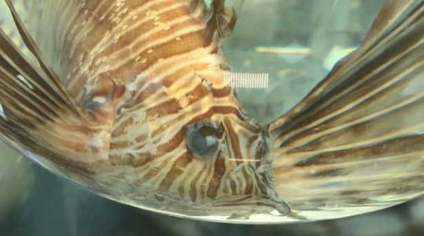 Foto - Sıcaklık artmaya devam ederse durum kötü! Marmara'yı bekleyen büyük tehlike