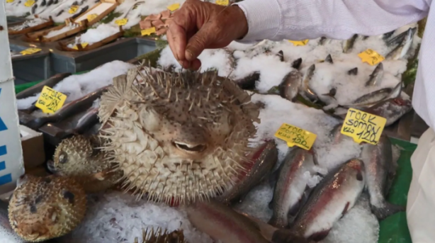 Foto - Sıcaklık artmaya devam ederse durum kötü! Marmara'yı bekleyen büyük tehlike