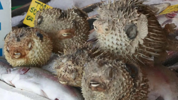 Foto - Sıcaklık artmaya devam ederse durum kötü! Marmara'yı bekleyen büyük tehlike