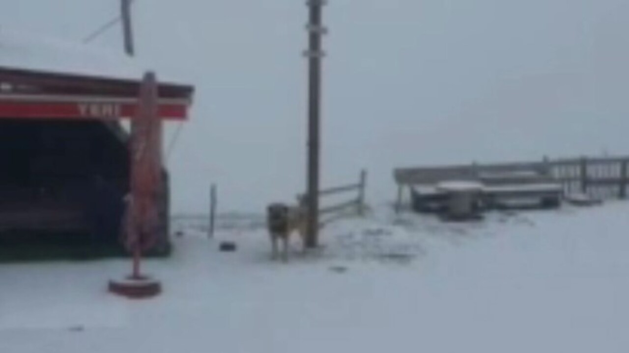 Foto - Sıcaklık eksilere düştü! O illerimizde kar yağışı sürüyor