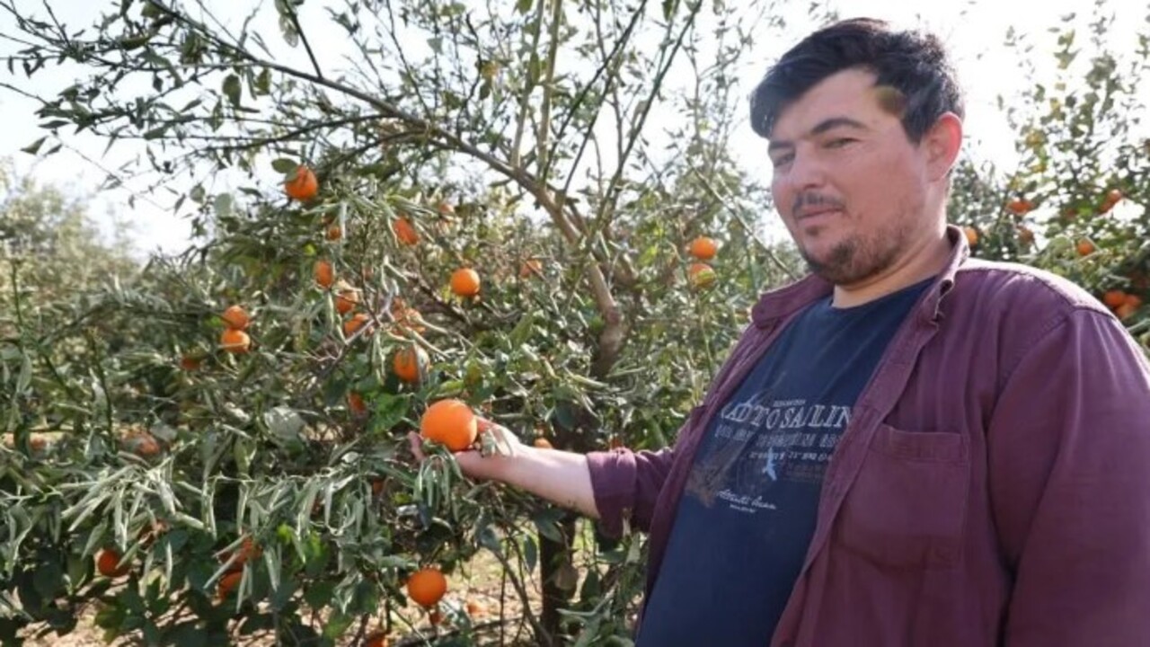 Foto - Sıcaklık ilk kez eksi 5’e düştü! Binlerce fidan kurumaya başladı