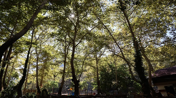 Sıcaktan bunalan da, canı ciğer çeken de oraya gidiyor