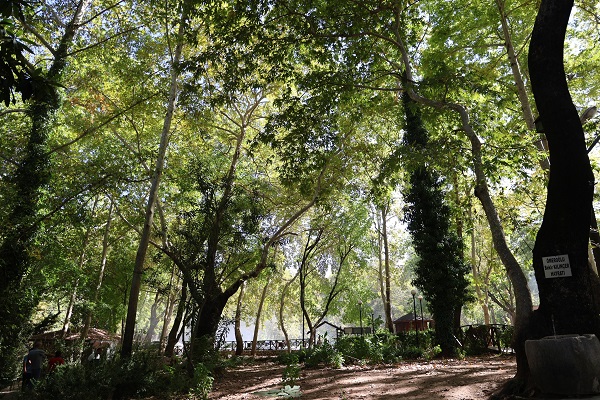 Foto - Sıcaktan bunalan da, canı ciğer çeken de oraya gidiyor