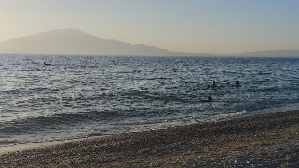 Foto - Sıcaktan bunalan Van Gölü'ne akın ediyor