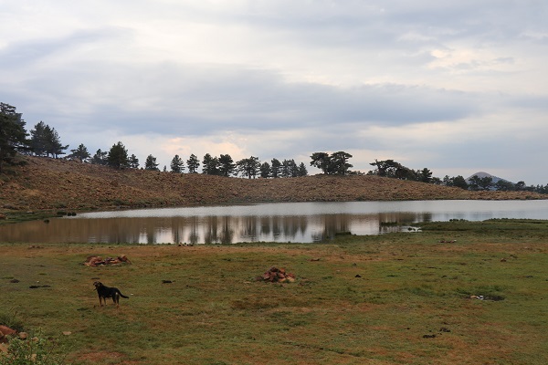 Foto - Sıcaktan bunalanlar oraya akın ediyor! Bu manzara hayran bırakıyor