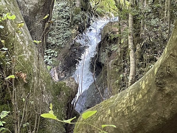 Foto - Sıcaktan bunalanlar oraya akın etti
