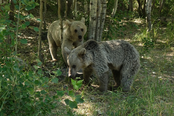 Foto - Sıcaktan bunalanlar oraya akın etti