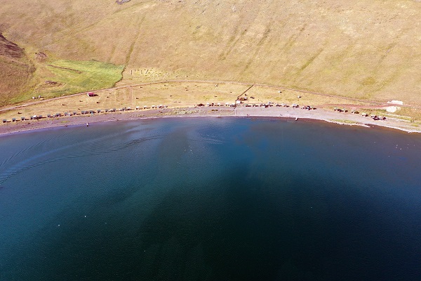 Foto - Sıcaktan bunalanlar oraya koşuyor