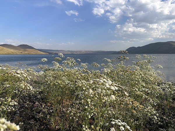 Foto - Sıcaktan bunalanlar oraya koşuyor