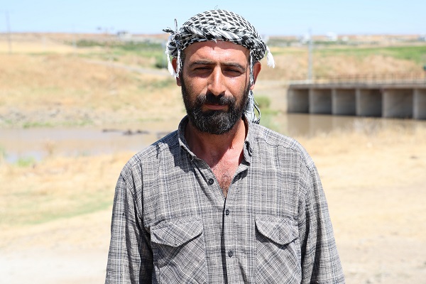 Foto - Sıcaktan bunaldılar! Bakın çareyi nasıl buldular