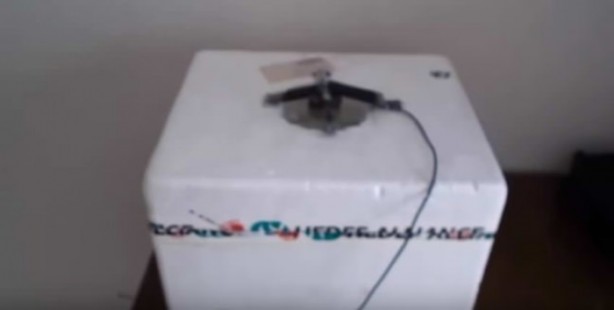 Foto - Sıcaktan bunalınca bakın ne yaptı!